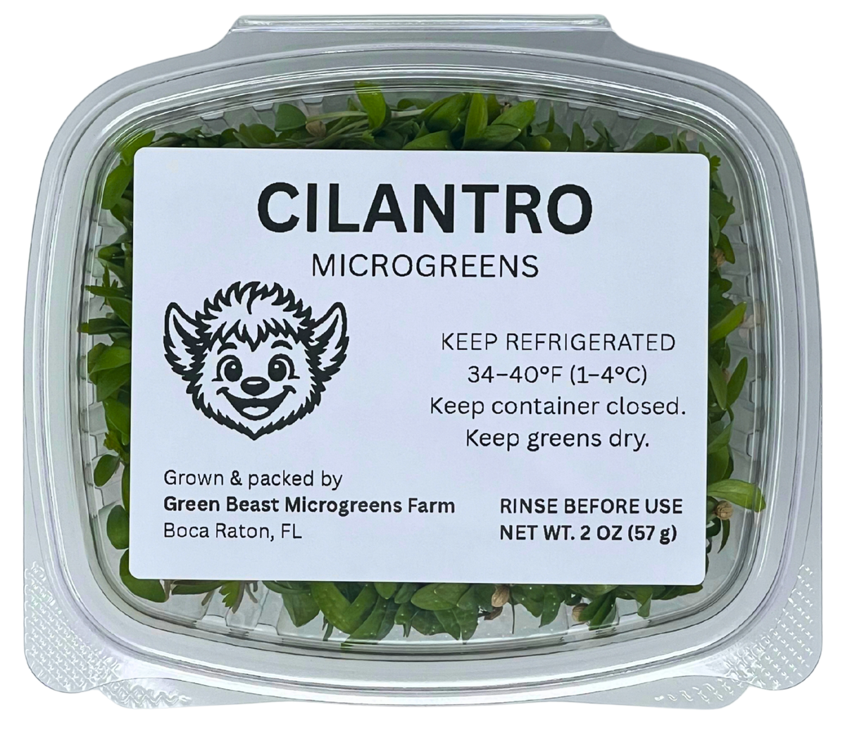Cilantro Microgreens