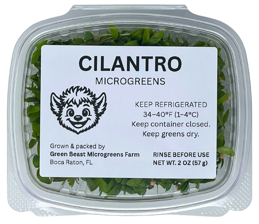 Cilantro Microgreens