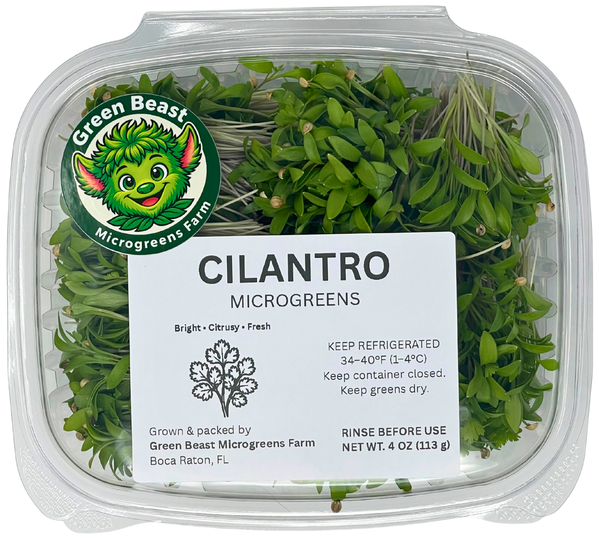 Cilantro Microgreens