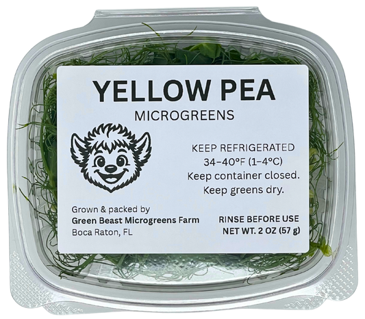 Yellow Pea Microgreens